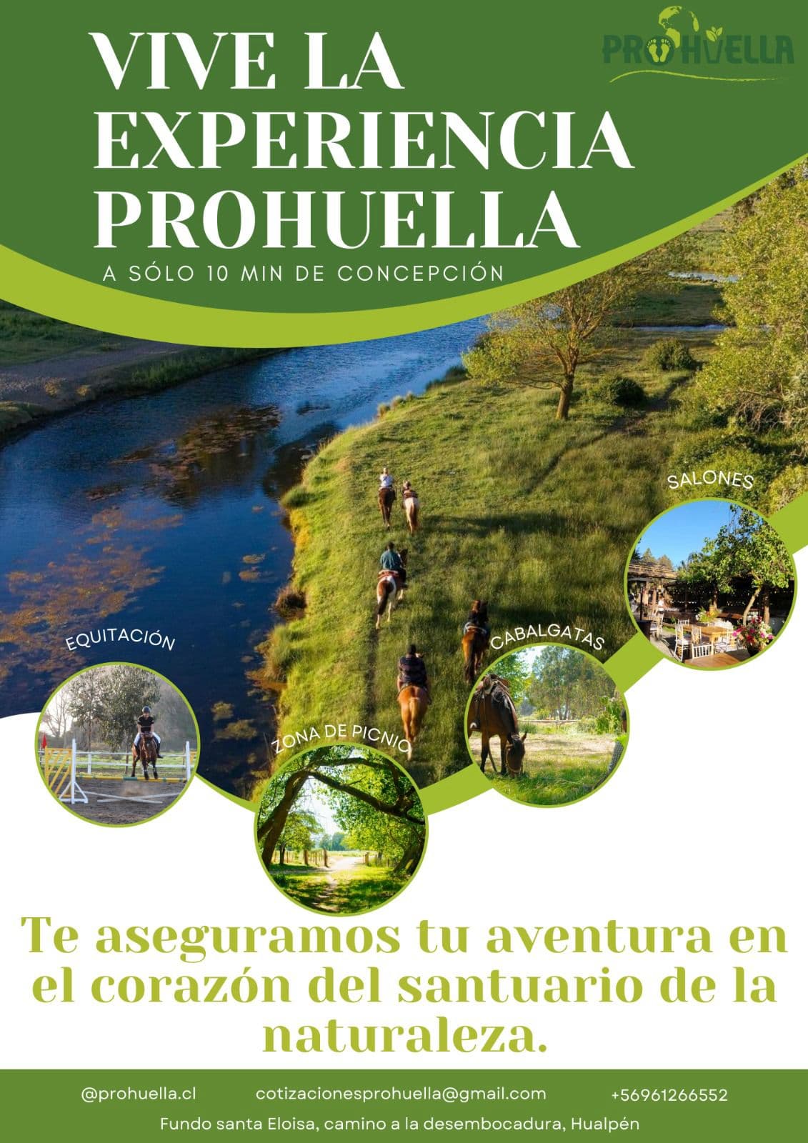 Prohuella imagen 1